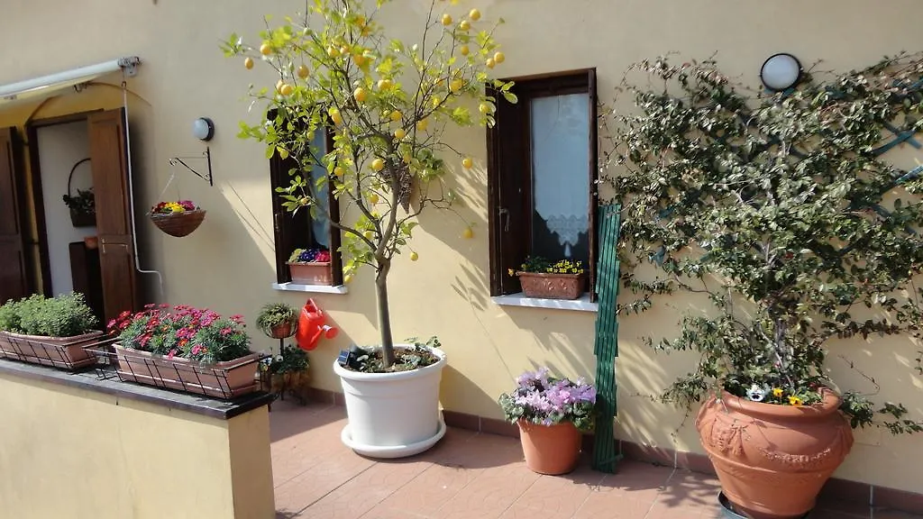 Panzió Touristic Apartment 